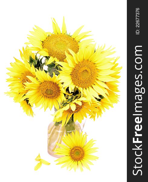 Decanter with sunflower, isolated white background