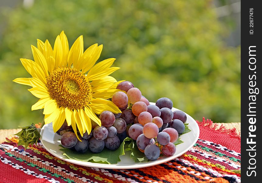 Still, grapes and sunflower ,a traditional Bulgarian cover