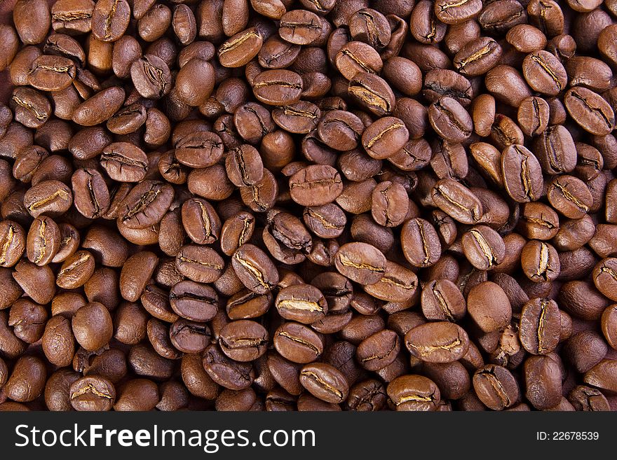 Brown background of the many coffee beans. Brown background of the many coffee beans