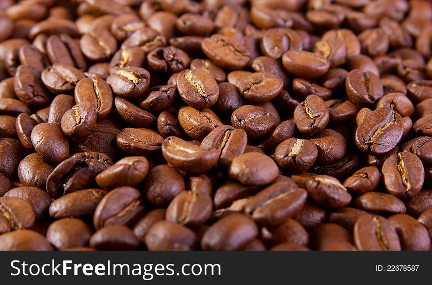 Brown background of many coffee beans. Brown background of many coffee beans