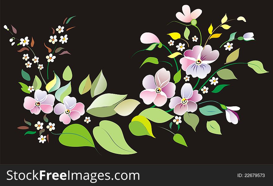 Arrangement of flowers of violets and leaves on a black background. Arrangement of flowers of violets and leaves on a black background.