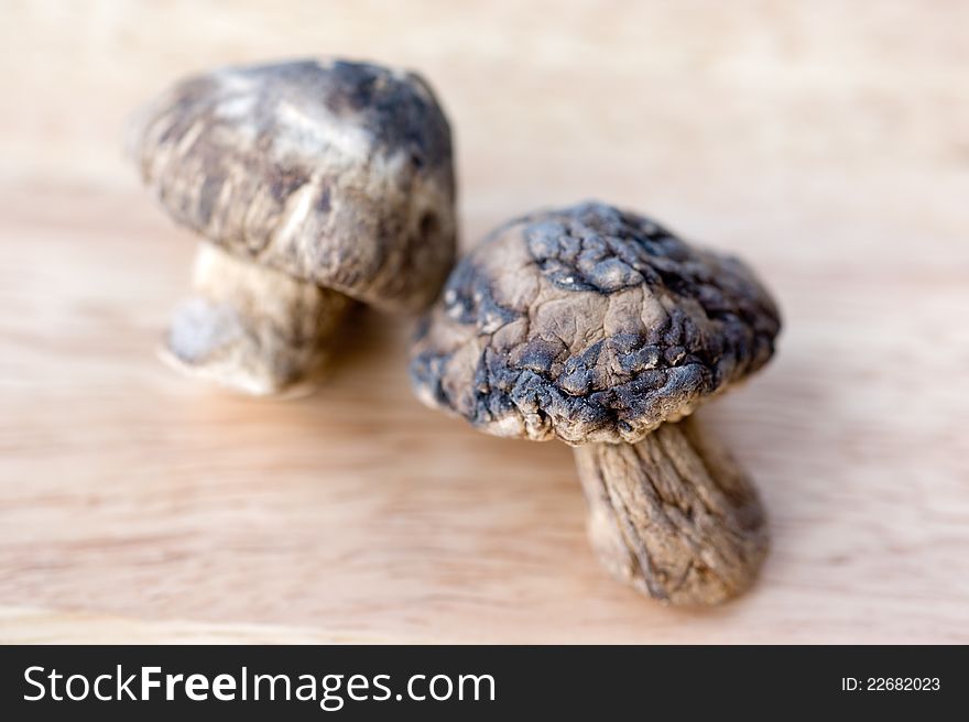 Two mushroom shiitake mushrooms on a wooden background