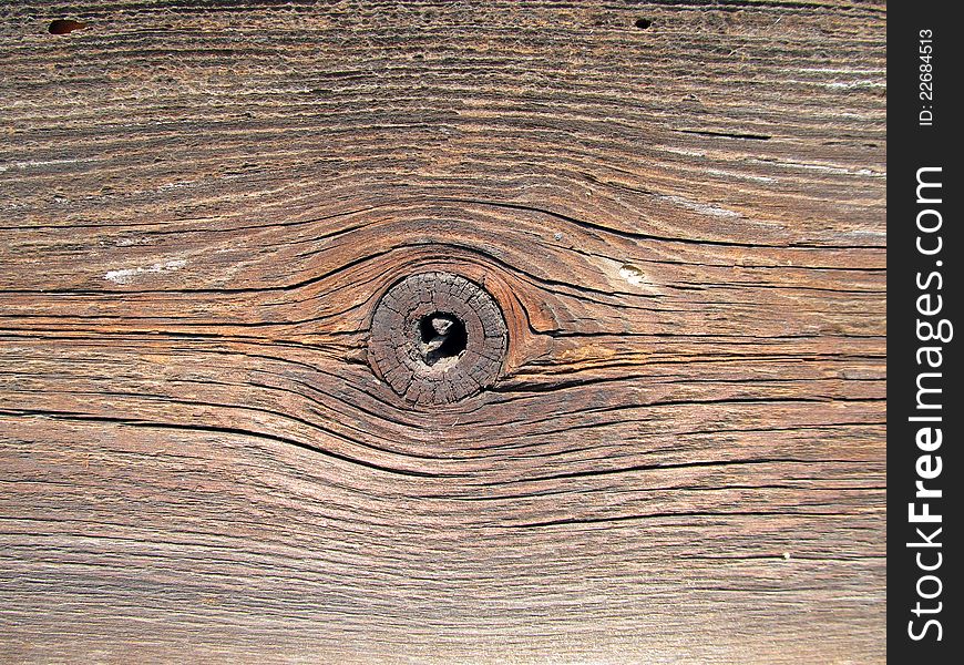 Structure of wood