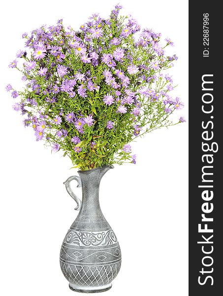 A bouquet of pink New York aster flowers in an antique vase isolated against a white background. A bouquet of pink New York aster flowers in an antique vase isolated against a white background