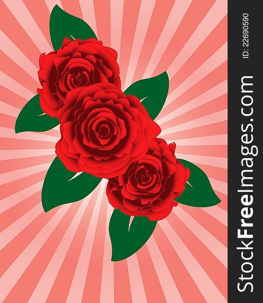 Red roses and green leaves background
