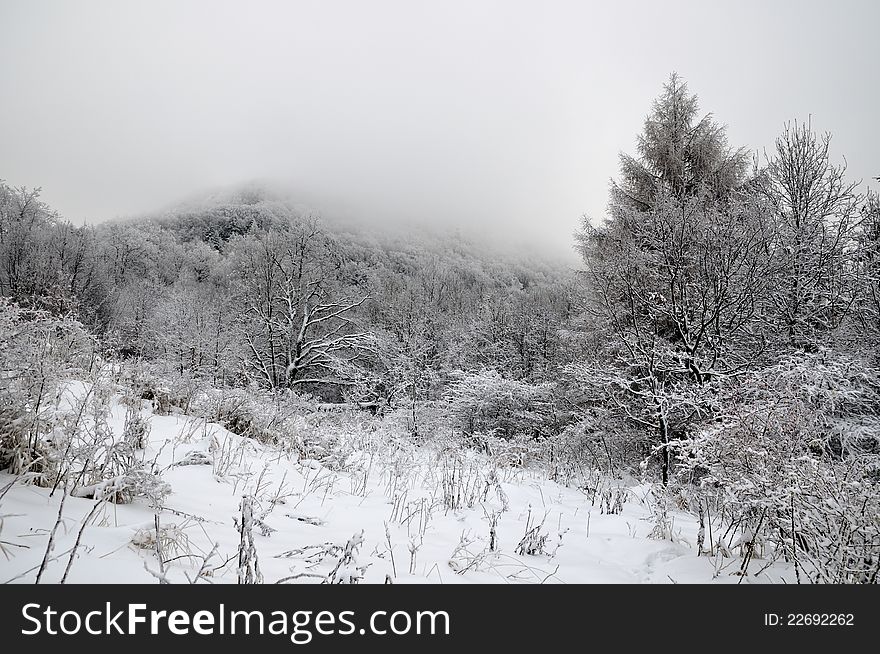 Winter landscape with snow in mountains, Slovakia