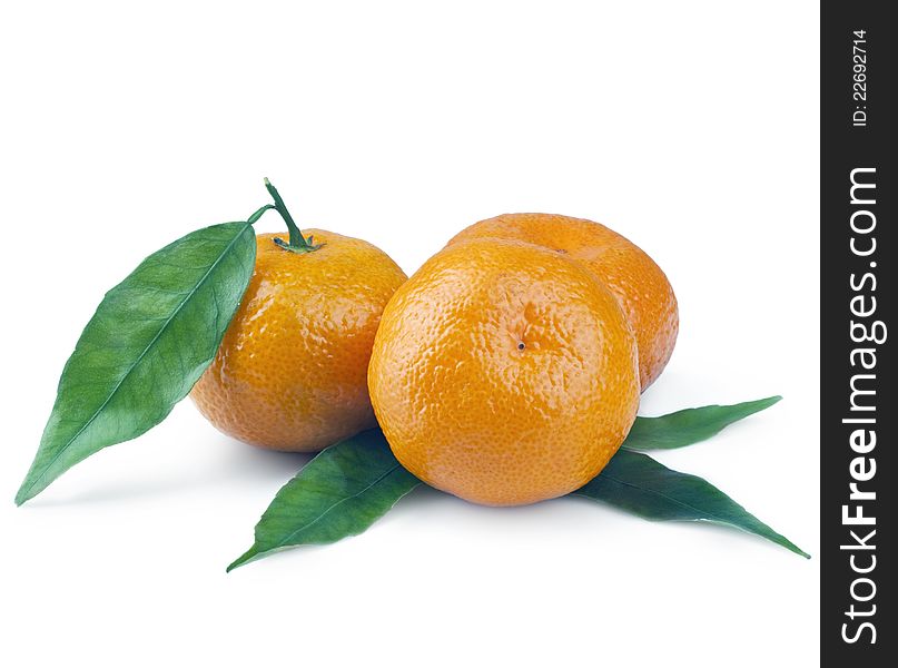 Tangerines with leaves on white background