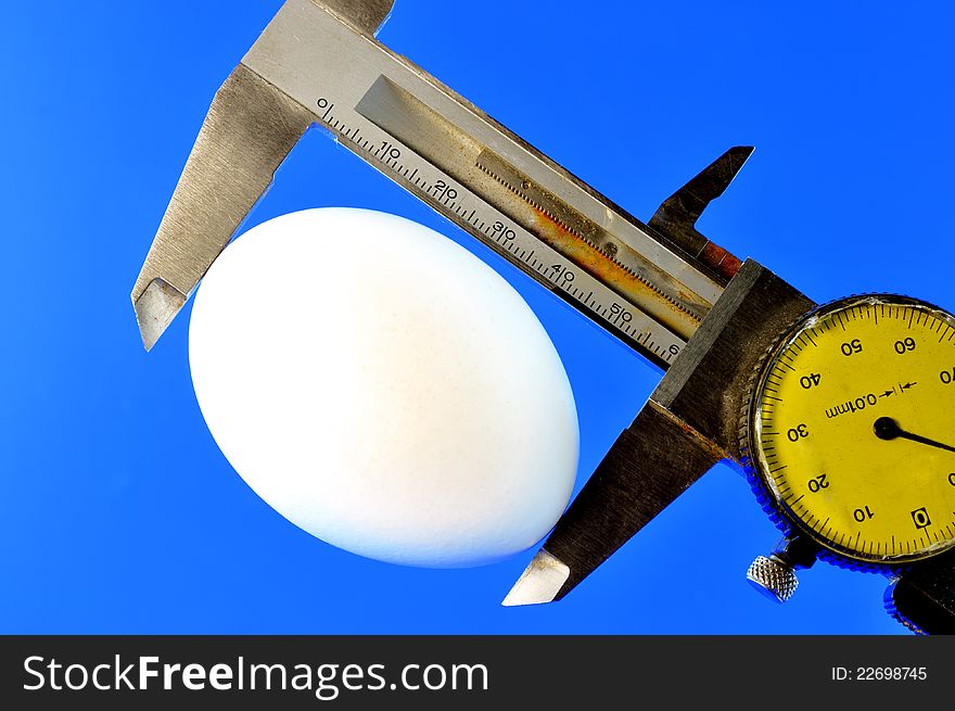 Measure the length of an egg by caliber against the blue background. Measure the length of an egg by caliber against the blue background