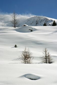 Winter Scene Royalty Free Stock Image Winter Scene Royalty Free Stock Image