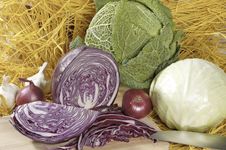 Three Cabbage Heads Stock Image Three Cabbage Heads Stock Image