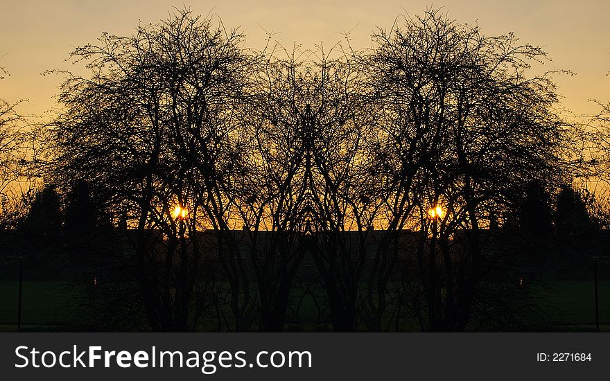 Twin sunset silhouette abstract of nature