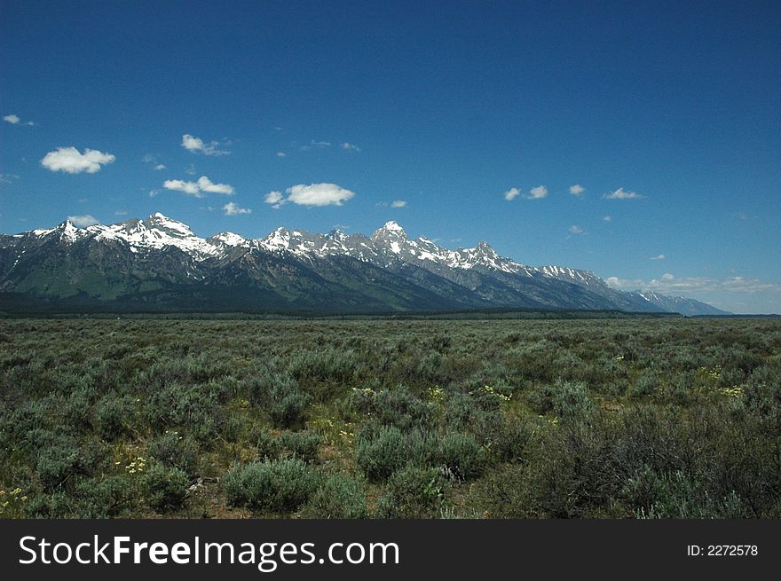 Snow capped mountains in the background of a spring meadow. Snow capped mountains in the background of a spring meadow.