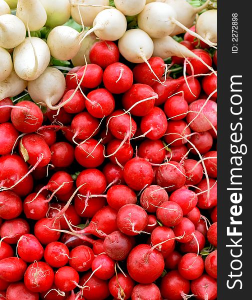 A bunch of fresh organic red radish