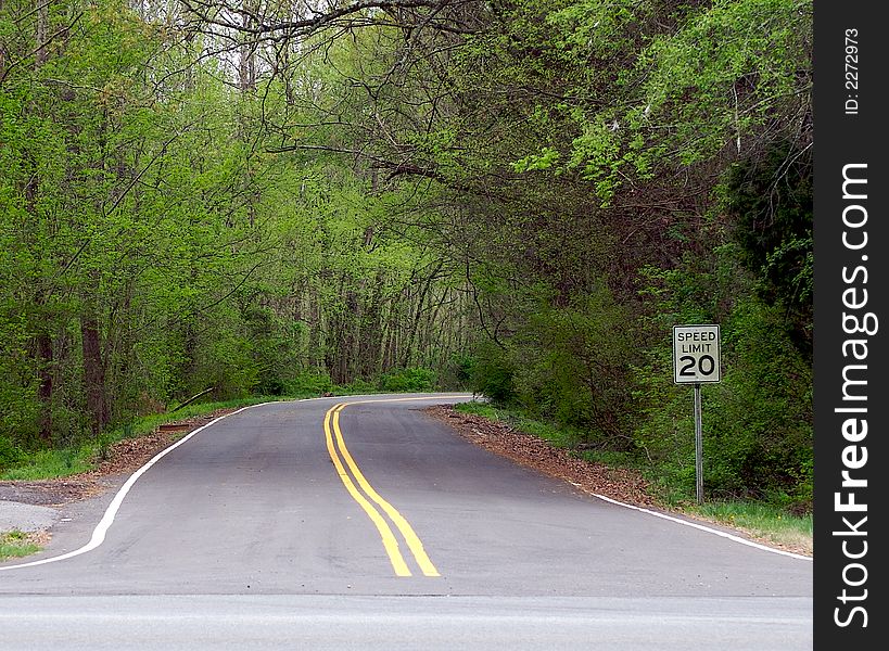 Road to a forest with a speed sign. Road to a forest with a speed sign