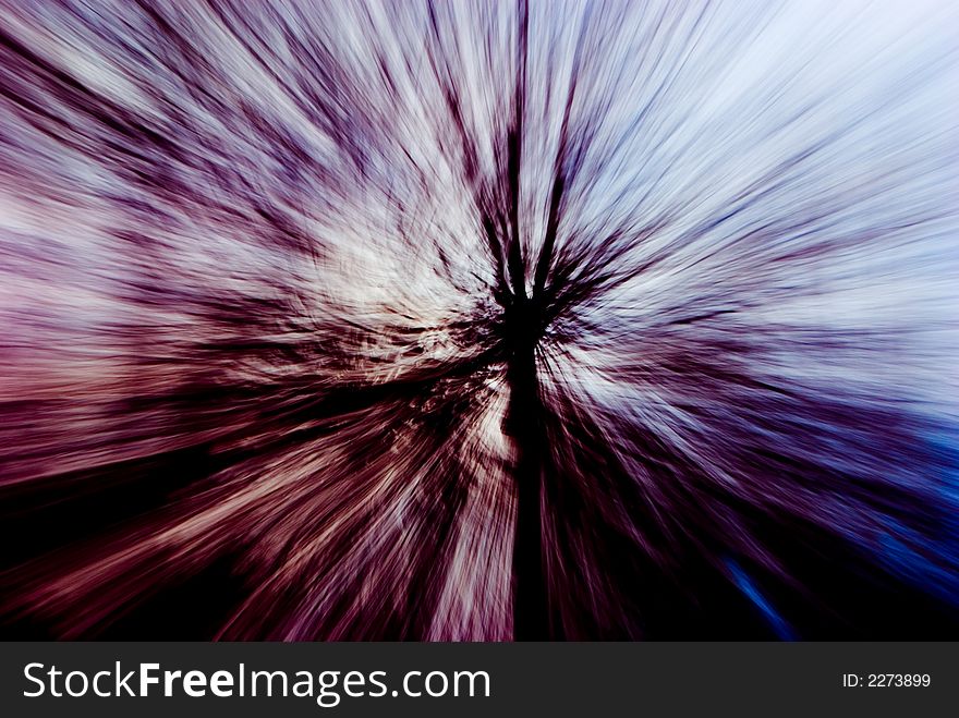 A picture of a tree taken with a slow shutter speed while changing the focal length of the lens.  Color effects added afterwards. A picture of a tree taken with a slow shutter speed while changing the focal length of the lens.  Color effects added afterwards.