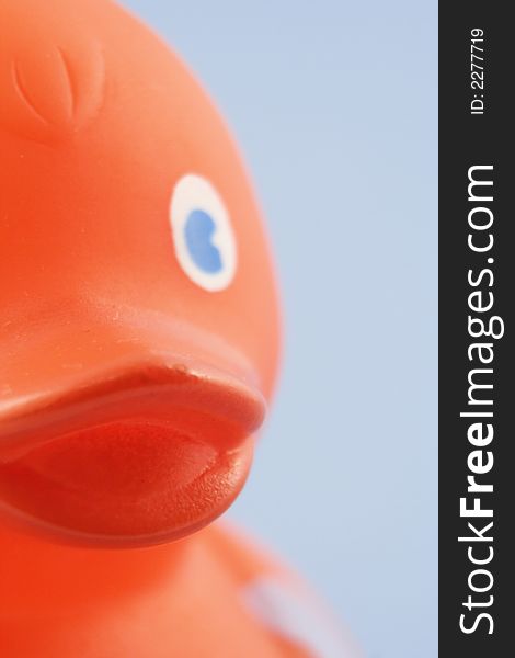 Close up of an orange rubber duck