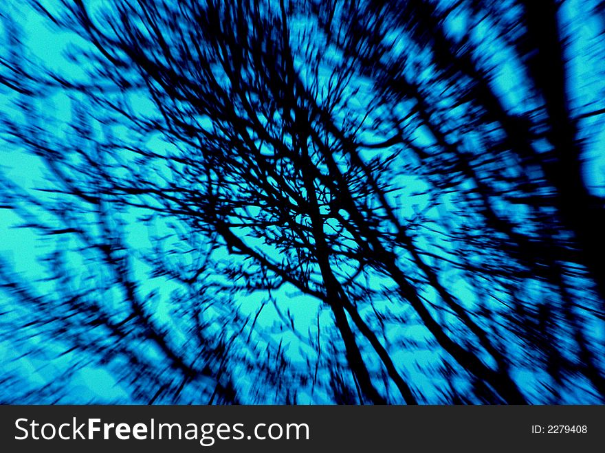 An abstract image of a tree created by using a slow shutter speed while changing the focal length of the lens. An abstract image of a tree created by using a slow shutter speed while changing the focal length of the lens.