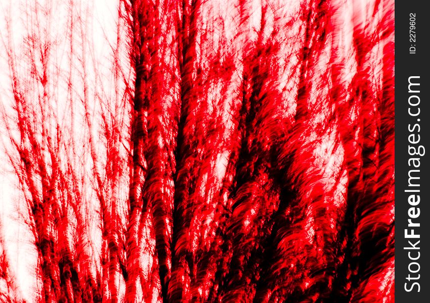 Textured Red Abstract #15