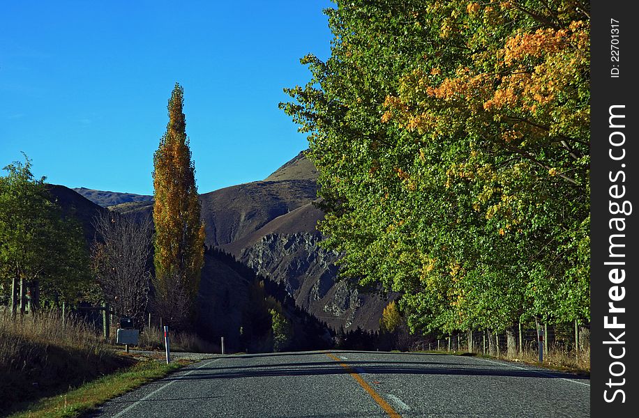 Long road stretching out into the distance in New Zealand