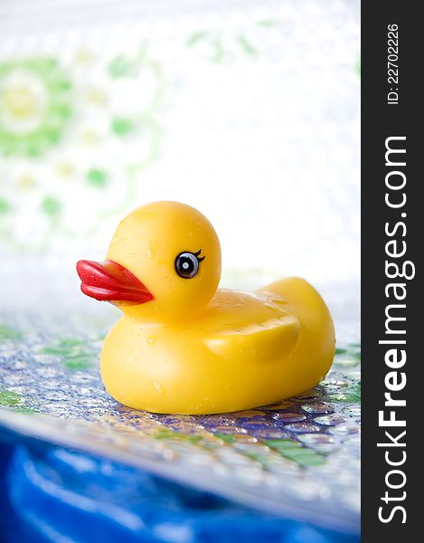 Close up yellow duck toy for baby bath