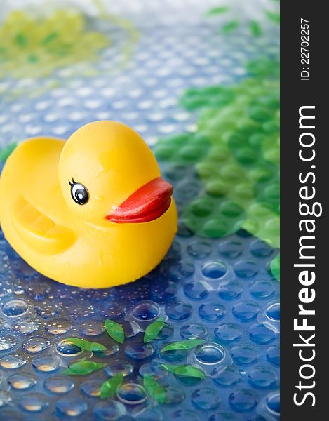 Close up duck toy for baby bath
