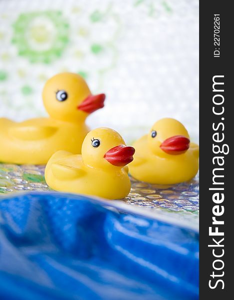 Ducks family toy floating on blue