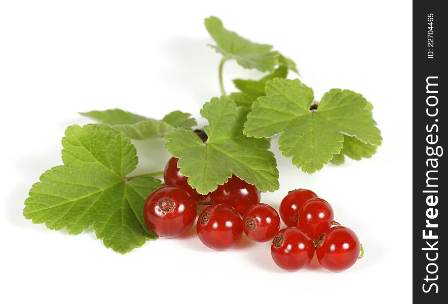 Redcurrants on the withe background