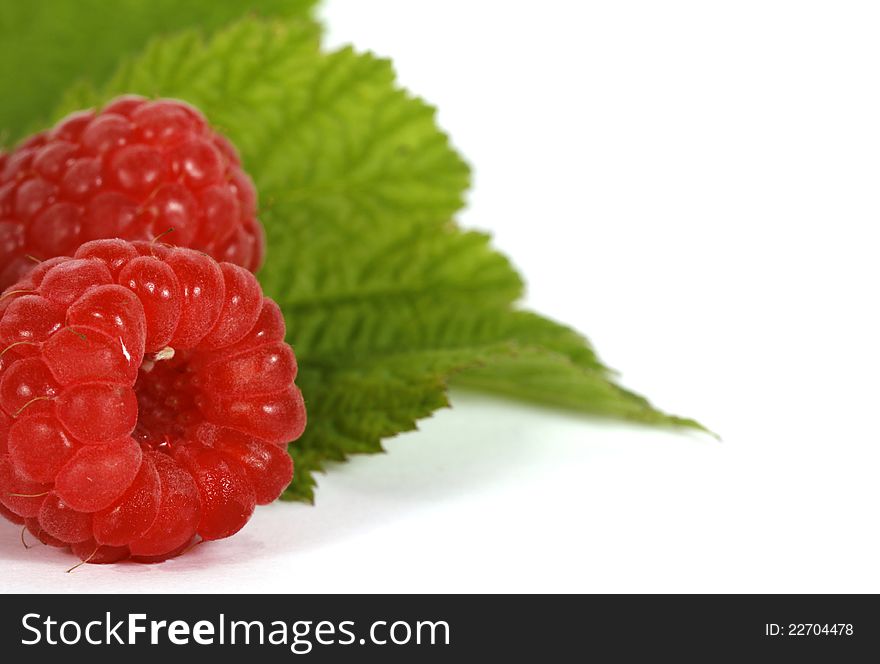 Red raspberries with green leaves on the withe background