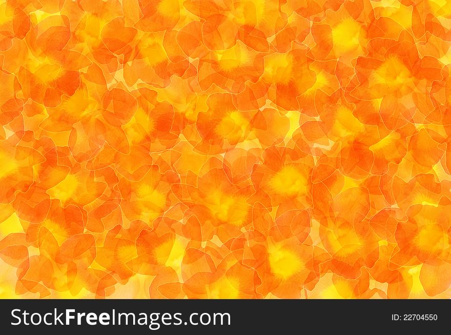 The beautiful  abstract  background with flowers. The beautiful  abstract  background with flowers
