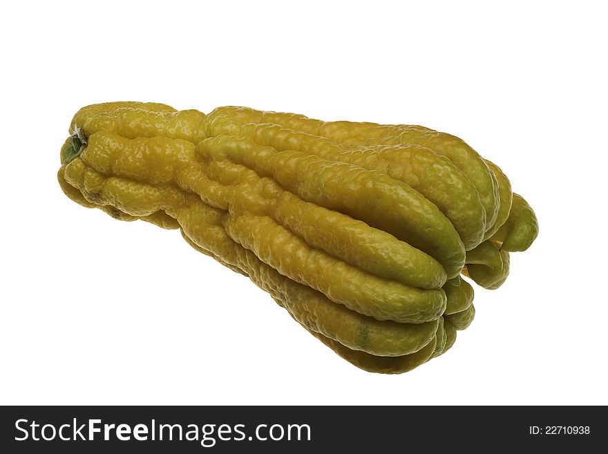 A fresh Budda Hand fruit in closed hand form. A fresh Budda Hand fruit in closed hand form