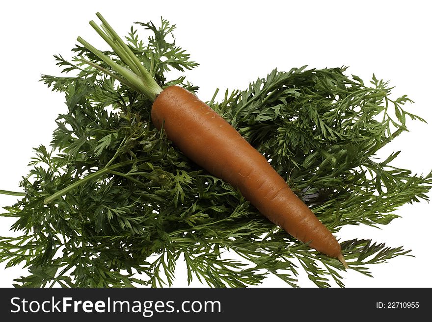 An organci carrot laying on a bed of greens. An organci carrot laying on a bed of greens