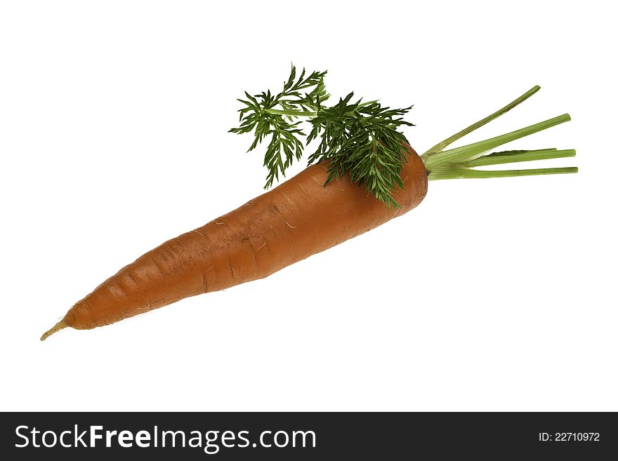 SIngle Carrot With Leaf
