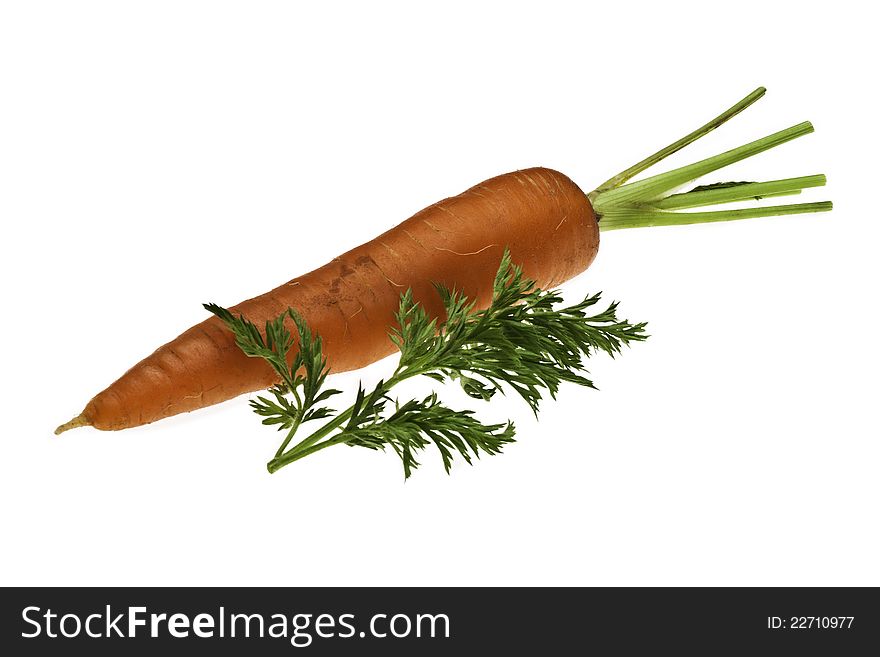 A single organic carrot with green leaf next to it. A single organic carrot with green leaf next to it