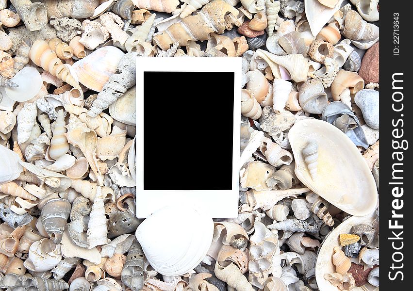 Blank photo frame on sea shell background