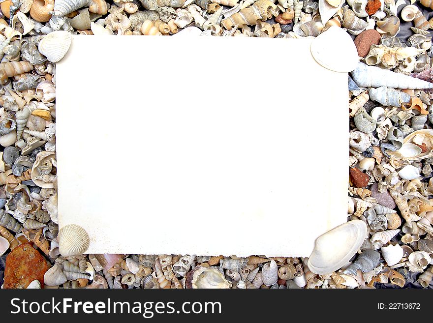 Blank paper on sea shell background