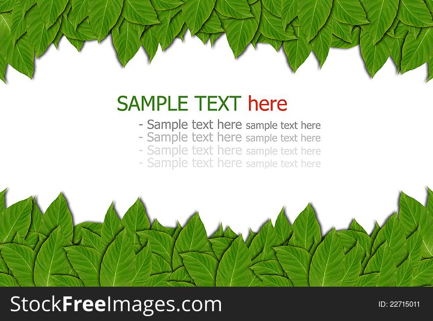 Green Leaf Background