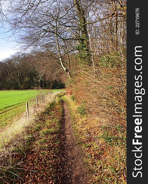 Footpath running between a field and woodland bathed in Winter sunshine. Footpath running between a field and woodland bathed in Winter sunshine