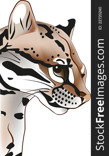 Illustration of tiger. Inspiration in nature.