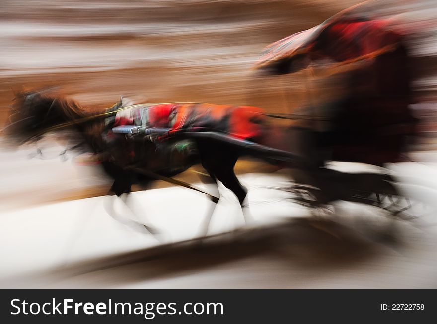 Running donkey carriage blurred panning. Running donkey carriage blurred panning