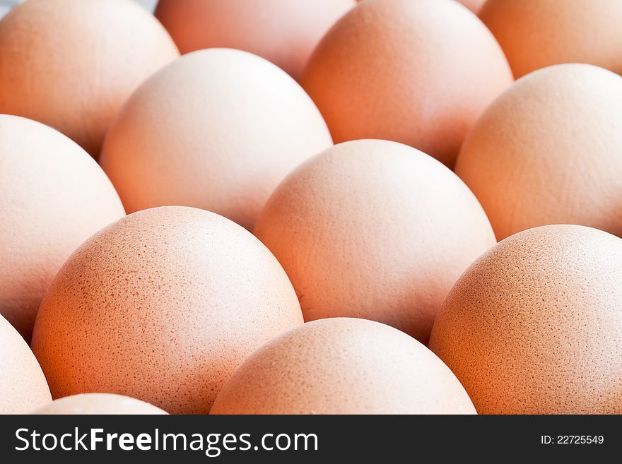Image of Closeup the Eggs