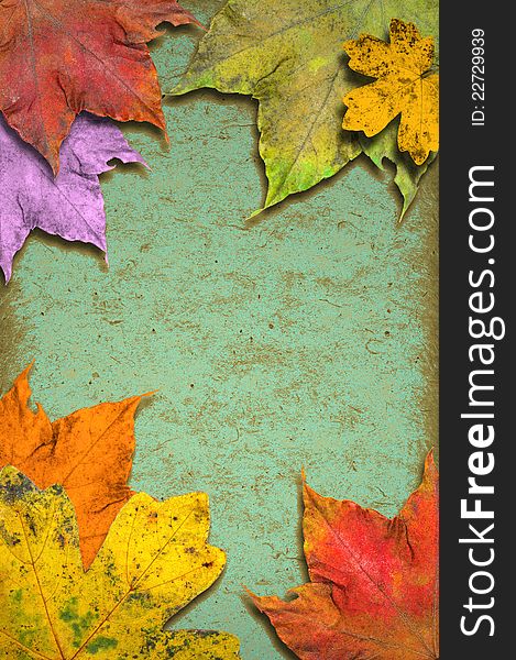 Grunge paper background and leaves. Grunge paper background and leaves