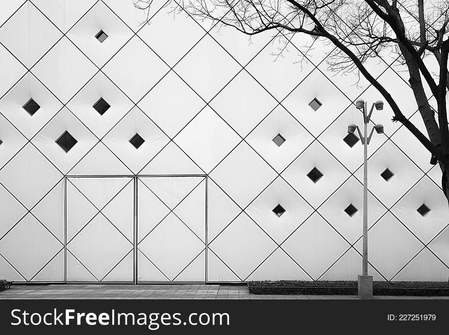 Black and white photo of the wall with a door and a tree make it special composition. Black and white photo of the wall with a door and a tree make it special composition