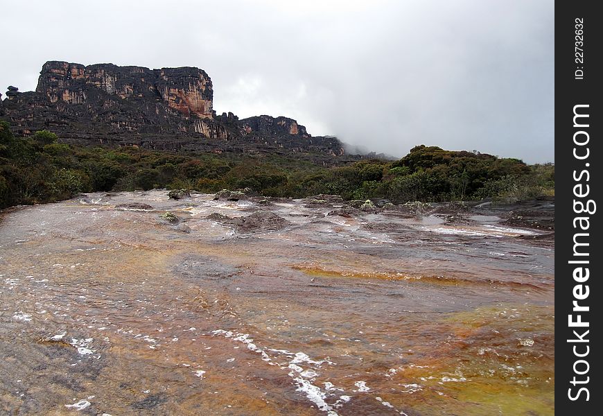 River on the top of Auyantepui plateau. The rivers of Auantepui and Gran Sabana are redish-brown due to high content of humic substances. River on the top of Auyantepui plateau. The rivers of Auantepui and Gran Sabana are redish-brown due to high content of humic substances.