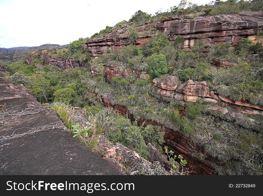 Canyon At Auantepui, Venezuela