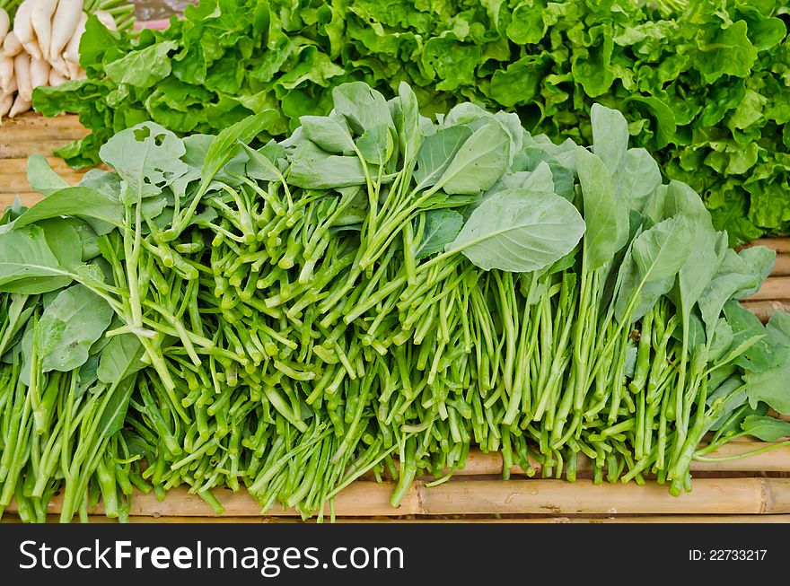 Fresh Chinese Kale from organic farm