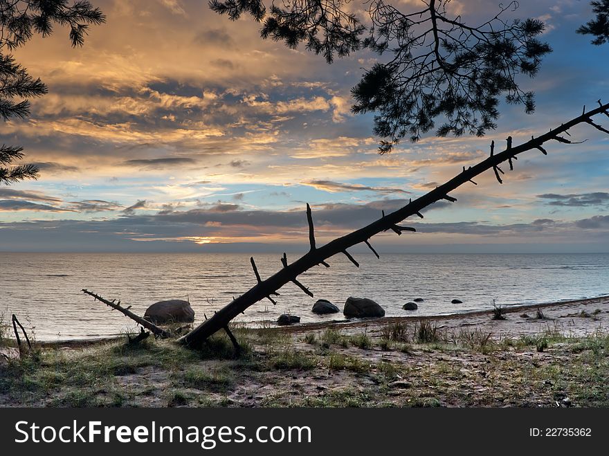 The shot was taken in autumn in the gulf of Riga, Baltic Sea, Latvia, Europe. The shot was taken in autumn in the gulf of Riga, Baltic Sea, Latvia, Europe