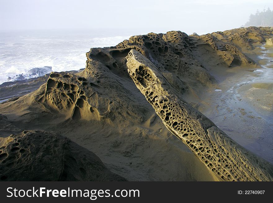 Coastal rocks with erosion and mollusk holes carved in them. Coastal rocks with erosion and mollusk holes carved in them.