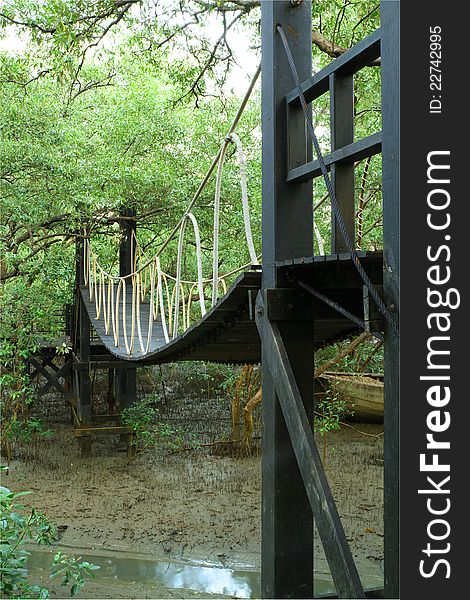 Wooden bridge in mangrove conservation center in Thailand