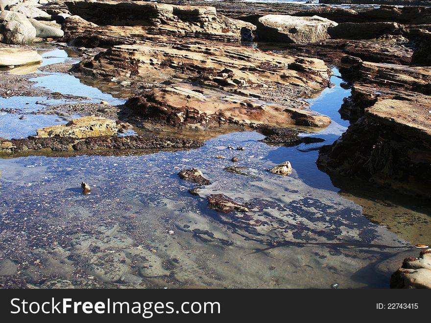 Marine geology and tide pools, San Pedro, CA. Marine geology and tide pools, San Pedro, CA