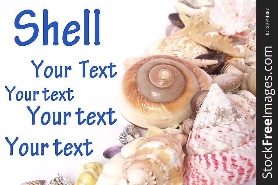 Shell